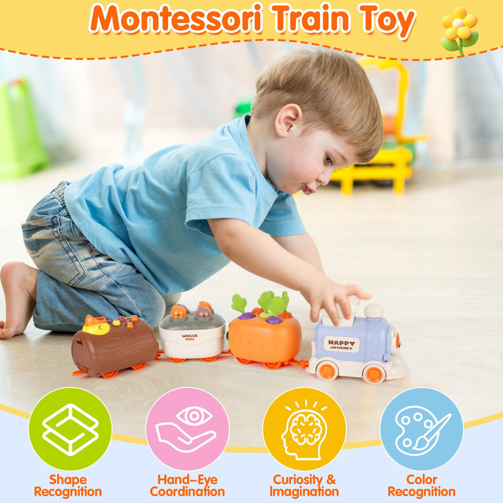 Press to Go Train Toys for Toddlers 2-4, Learning Sorting Montessori Toys